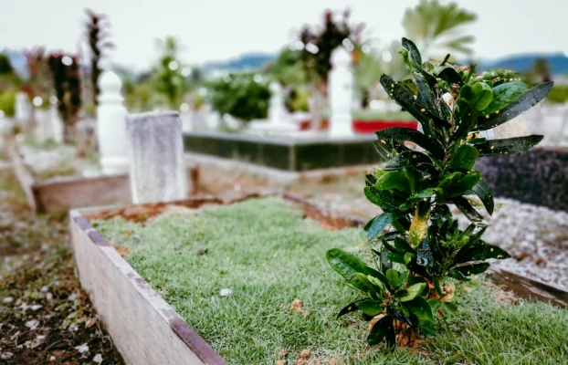 Mezar Ruhsatı Nasıl Alınır? Gerekli Belgeler ve Başvuru Süreci